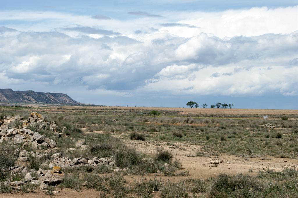 El Plañeron